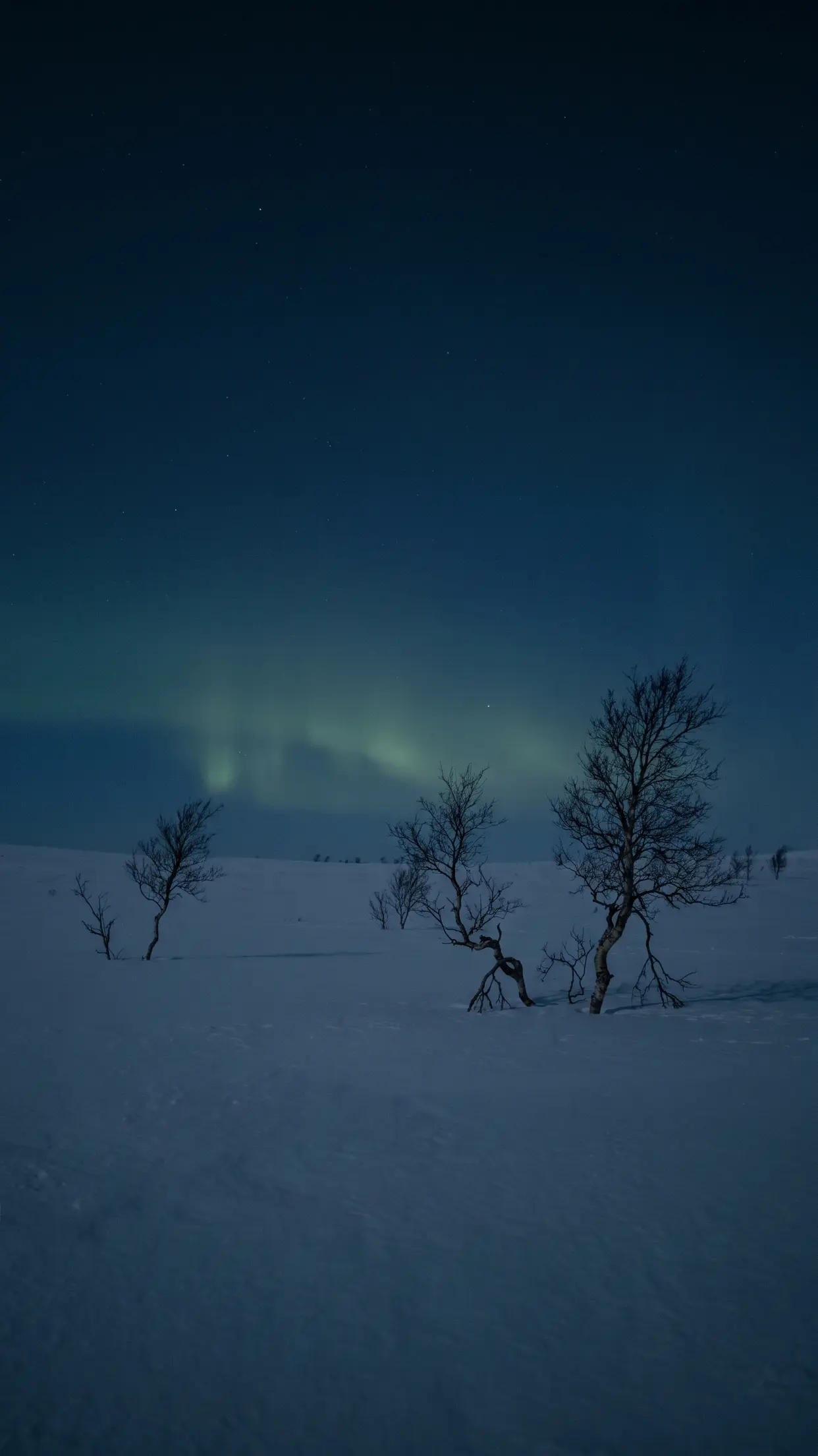 Planície de neve na noite polar, com um véu de aurora baixo no horizonte.