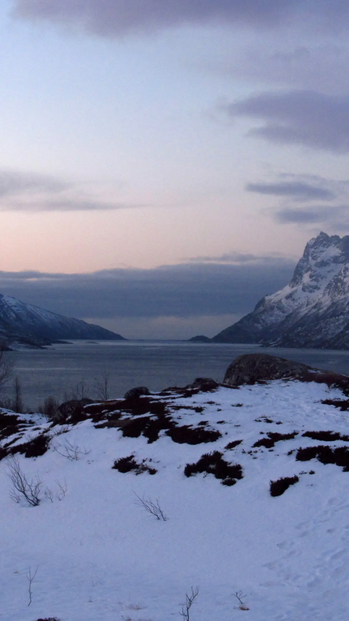 Ersfjorden em dezembro, na luz azul e rosa do meio-dia.