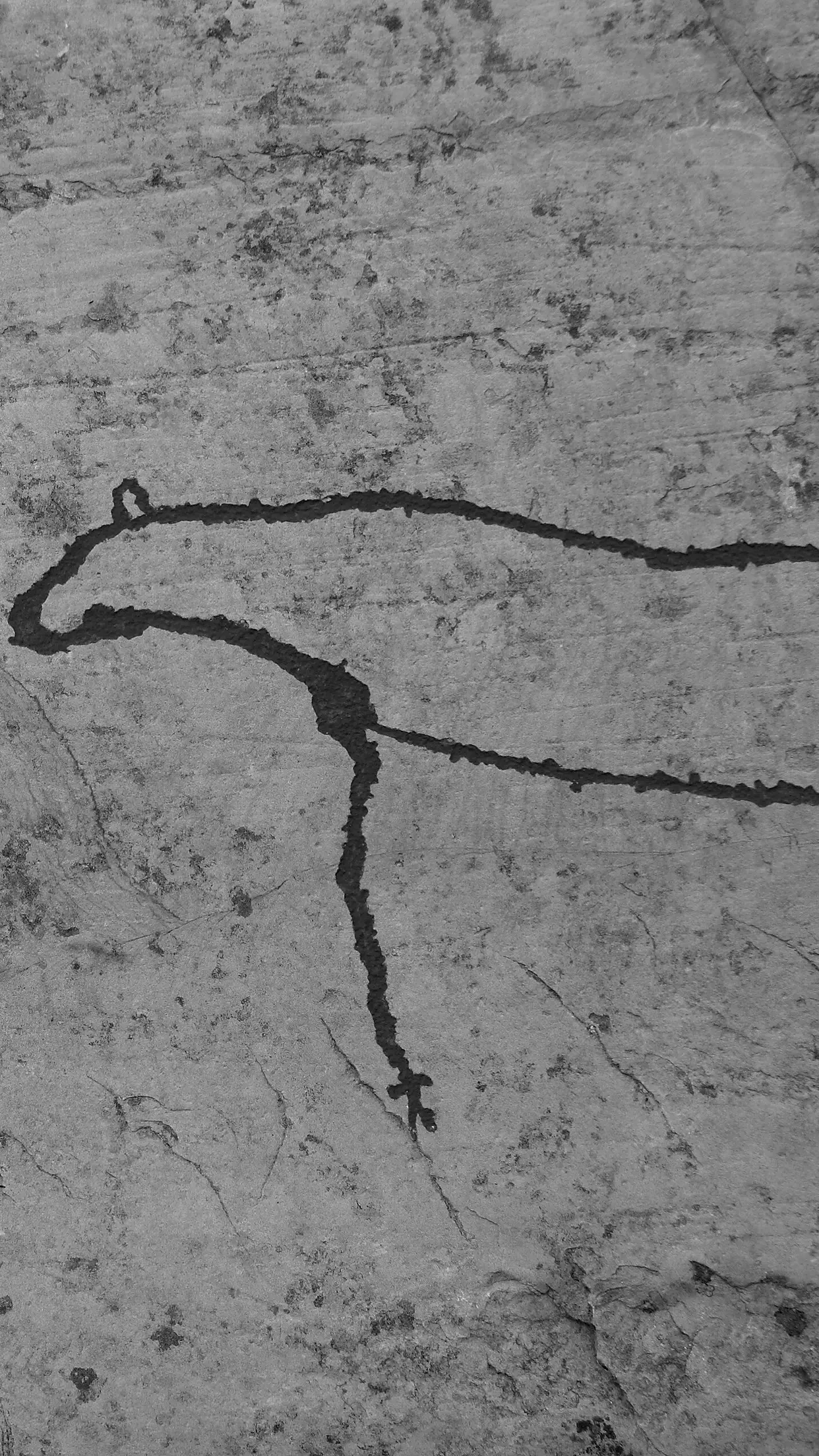 Gravura rupestre de Alta: uma rena desenhada na pedra.